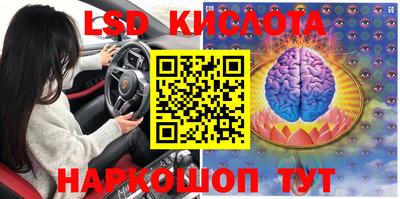PSILOCYBIN Ипатово