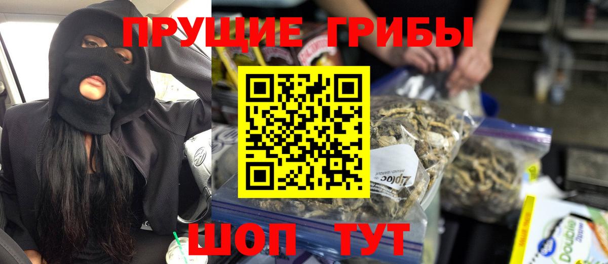Псилоцибиновые грибы Psilocybe  Галлюциногенные грибы Psilocybe  Вход с VPN  Гулькевичи 